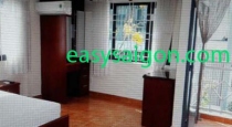 Serviced nice apartment for rent in District 10